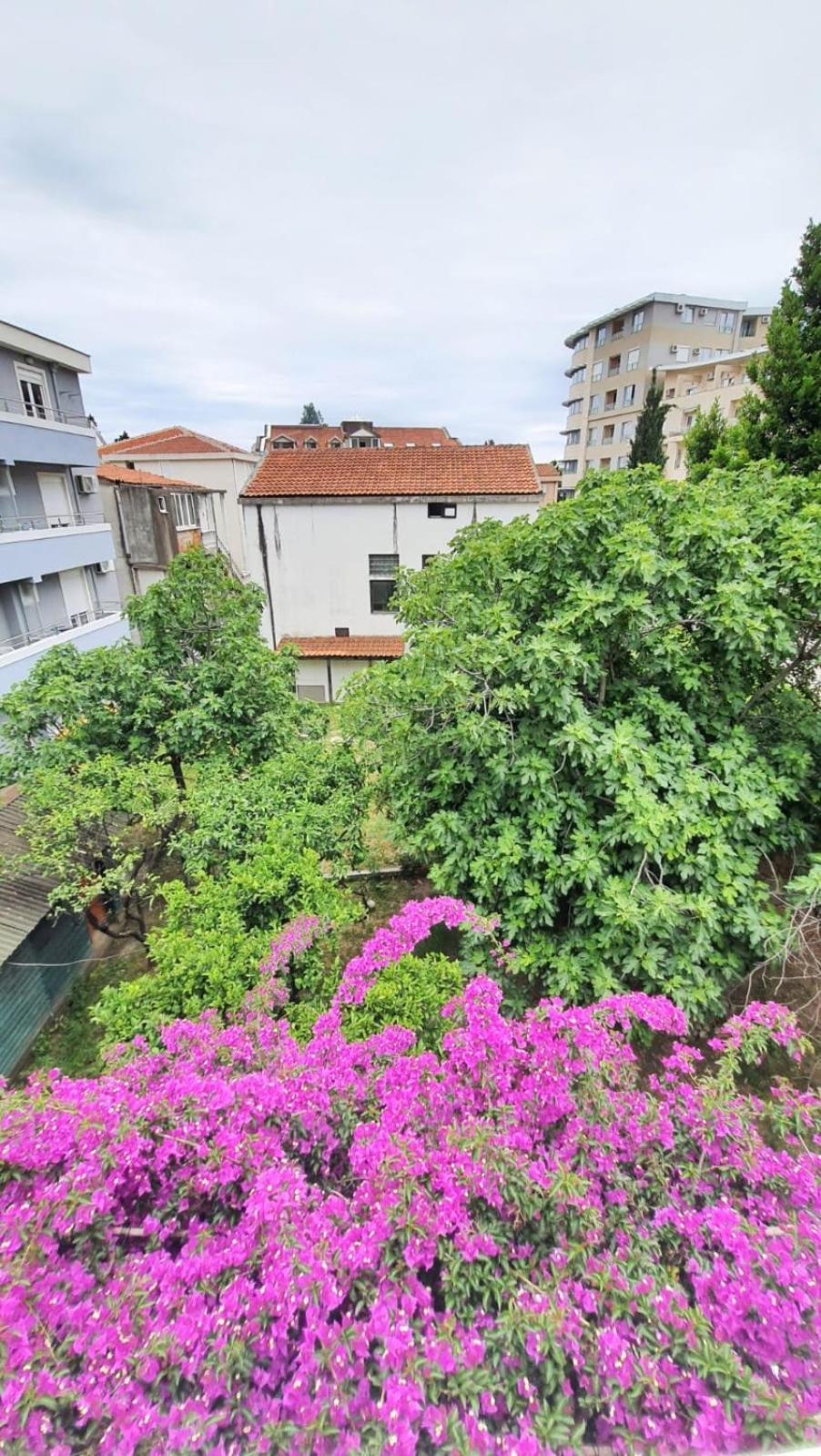 Vojinovic Apartments Budua Camera foto