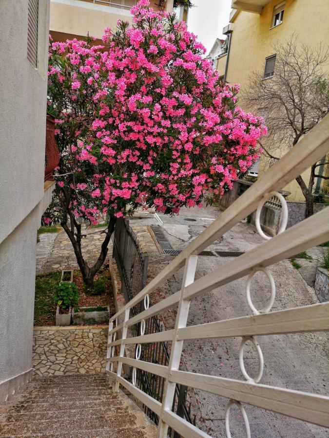 Vojinovic Apartments Budua Esterno foto